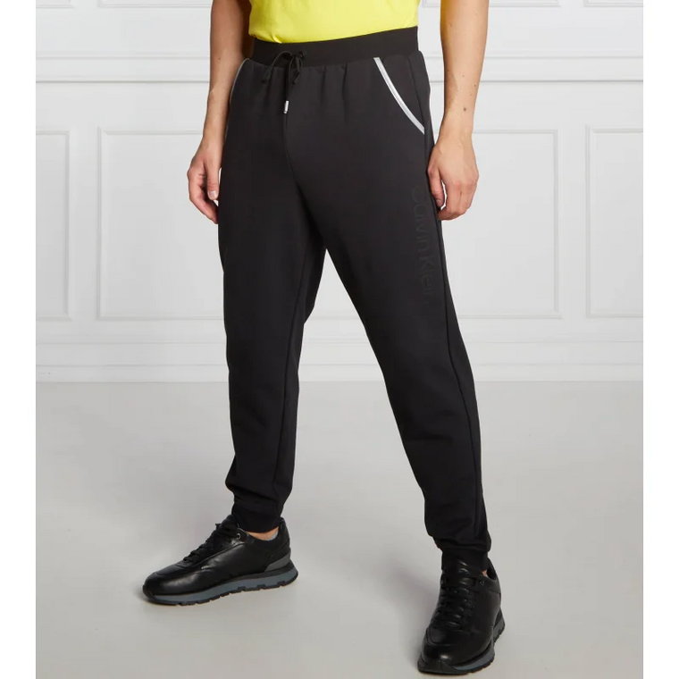 Calvin Klein Performance Spodnie dresowe | Regular Fit