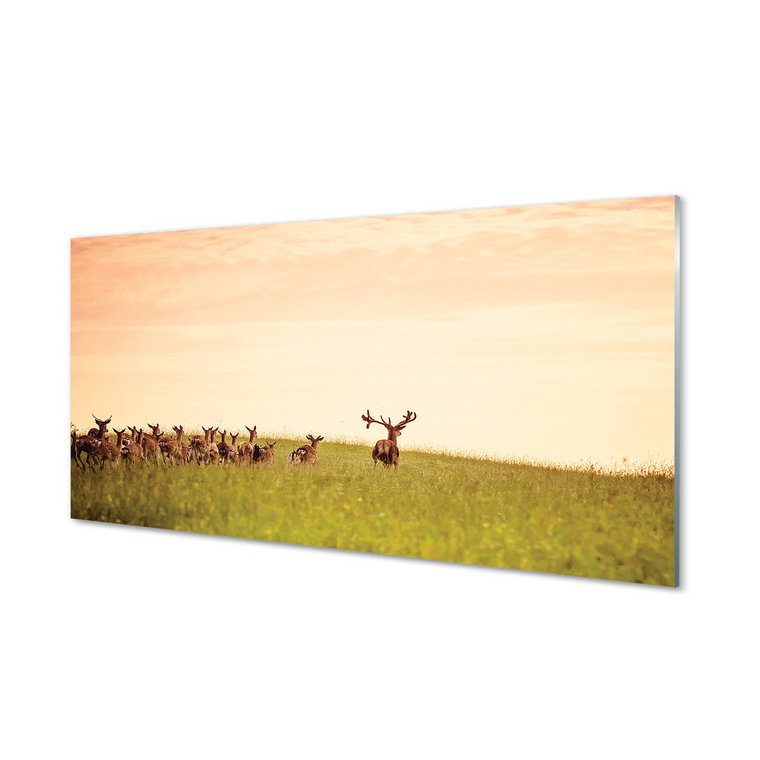 Panel szkło hartowane  Stado jeleni pole 120x60 cm