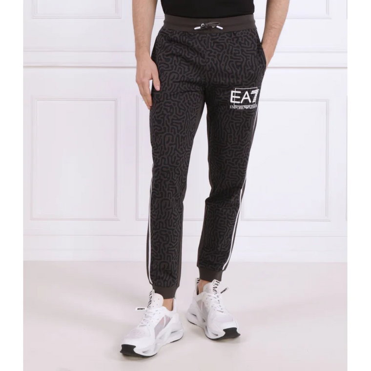 EA7 Spodnie dresowe | Regular Fit