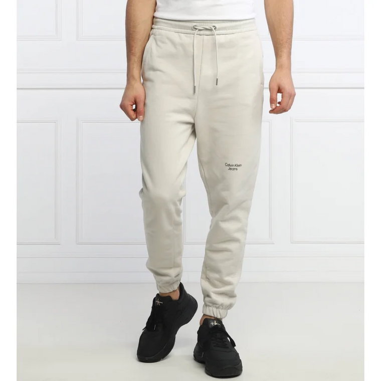 CALVIN KLEIN JEANS Spodnie dresowe | Regular Fit