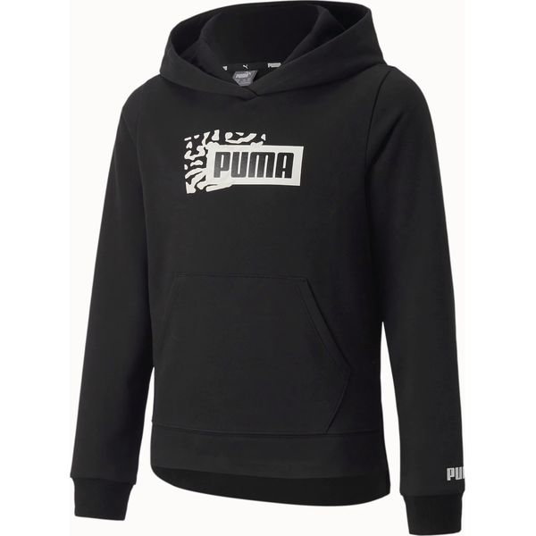 Bluza juniorska Alpha Hoodie FL Puma