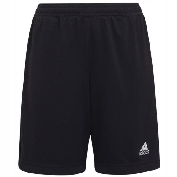 Spodenki adidas Entrada 22 Training Short Y