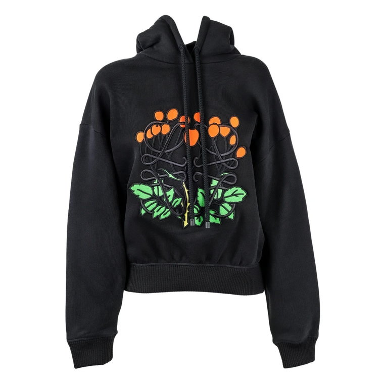 Hoodies Loewe