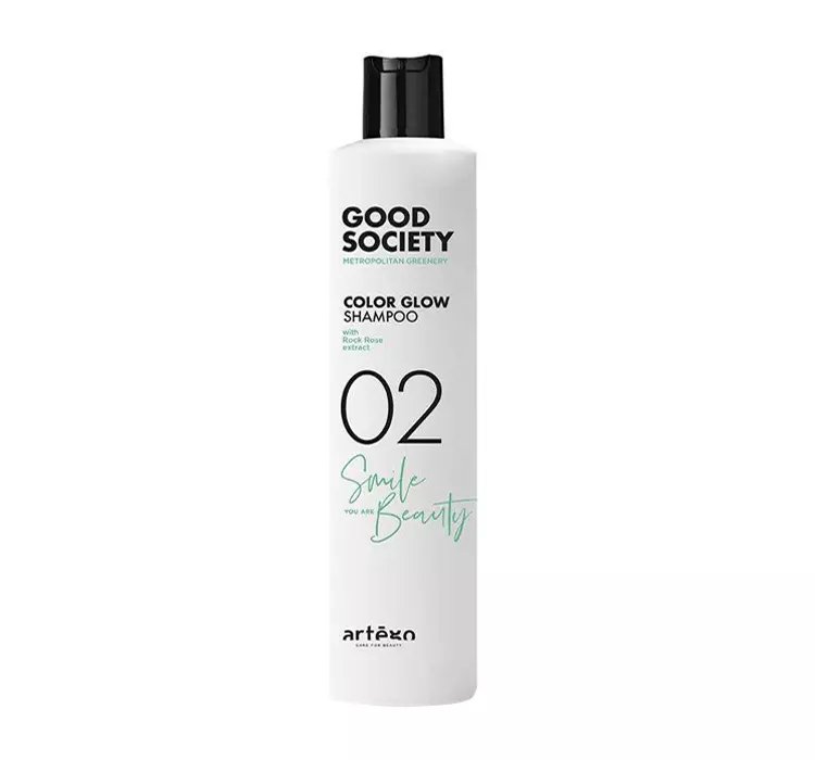 ARTEGO GOOD SOCIETY 02 RICH COLOR SZAMPON DO WŁOSÓW FARBOWANYCH 250ML