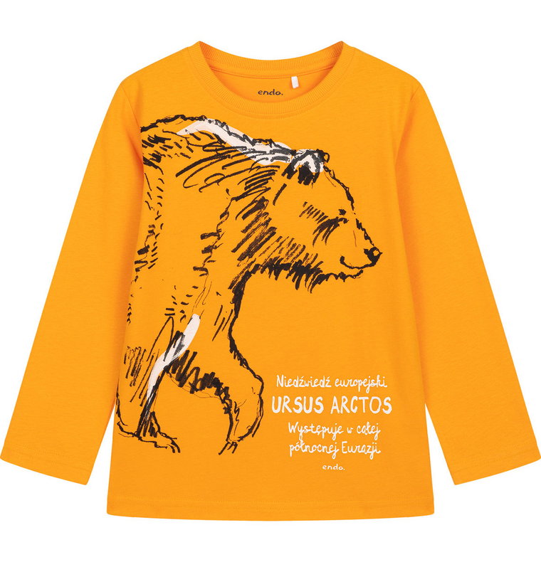 Koszulka T-shirt  z Długim Rękawem chłopięca dziecięca Niedźwiedź 110 Endo