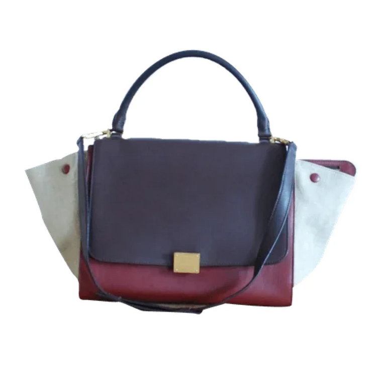 Pre-owned Leather handbags Celine Vintage