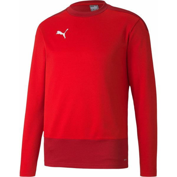 Bluza męska teamGOAL 23 Training Sweat Puma