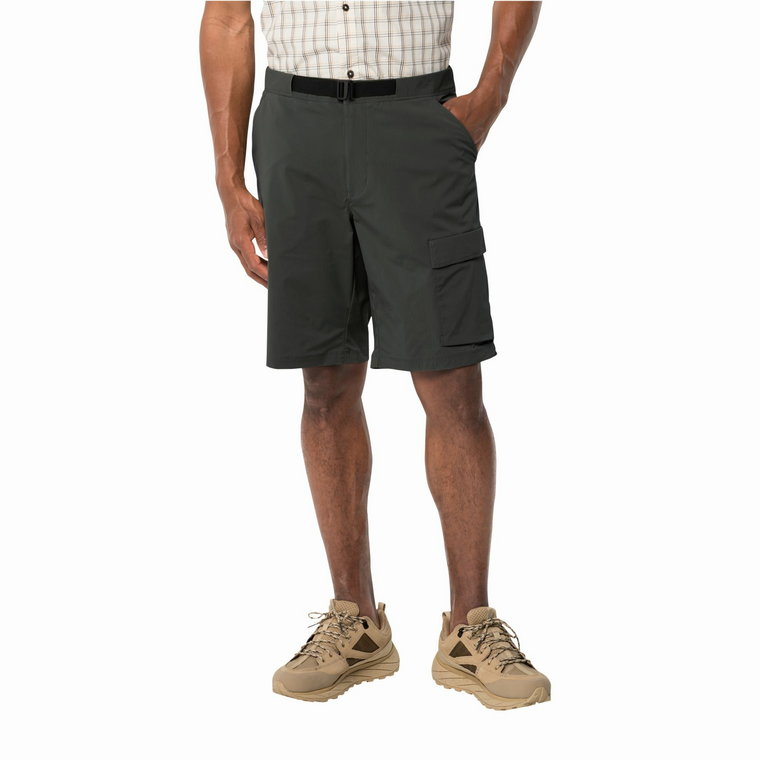 Krótkie spodenki męskie Jack Wolfskin WANDERTHIRST SHORTS M granite black - 46