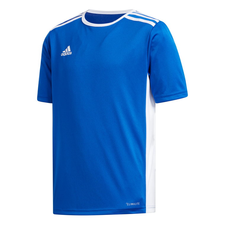 Koszulka dla dzieci adidas Entrada 18 Jersey JUNIOR