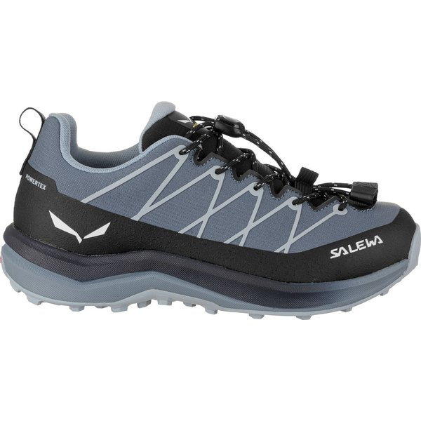 Buty Wildfire 2 Powertex Salewa