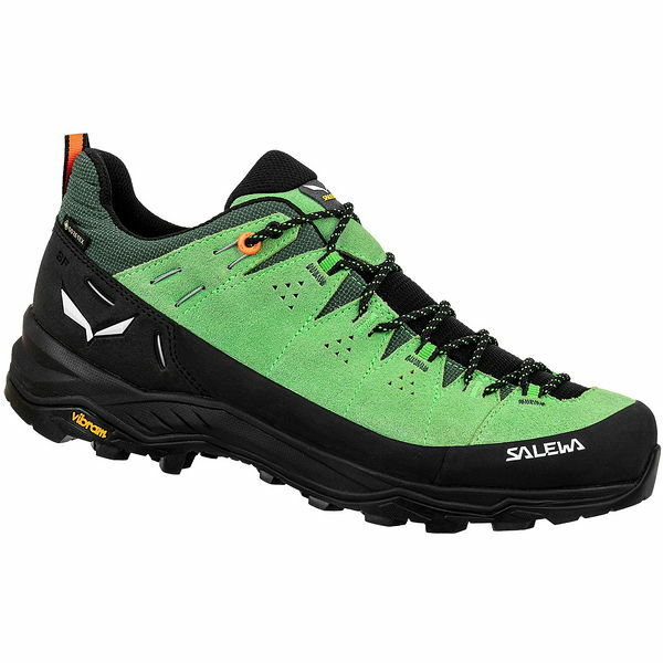 Buty Alp Trainer 2 GTX Salewa