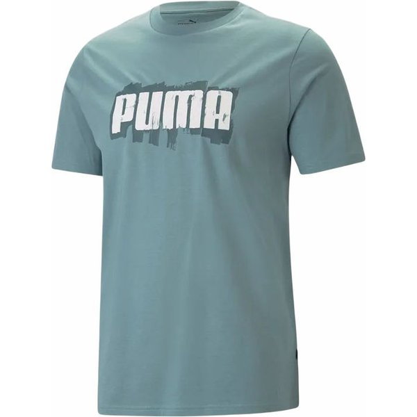 Koszulka męska Graphics Wording Tee Puma