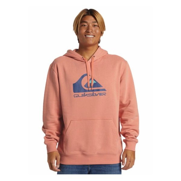 Bluza męska Big Logo Quiksilver