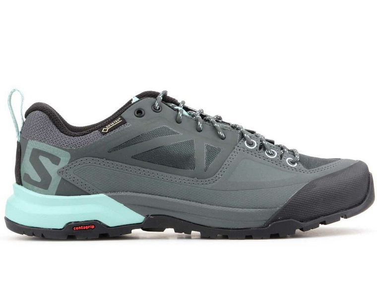 Salomon X Alp Spry Gtx 401619