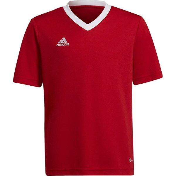 Koszulka juniorska Entrada 22 Jersey Adidas