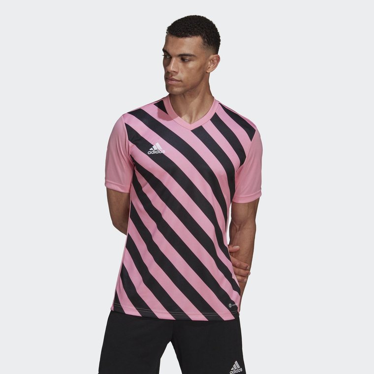 Jersey adidas Entrada 22 Graphic