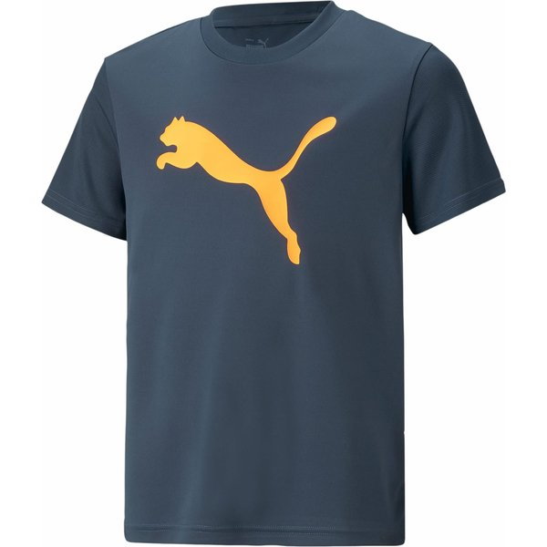 Koszulka juniorska Active Sports Poly Cat Tee B Puma