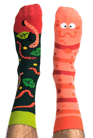 Skarpety kolorowe z serii Happy Friends Socks robak Willy Wormka