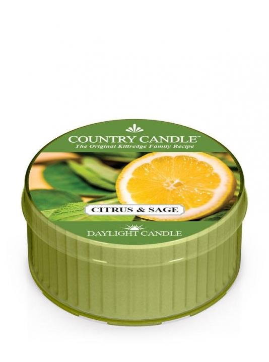 Kringle Candle, Citrus and Sage, świeca zapachowa daylight, 1 knot