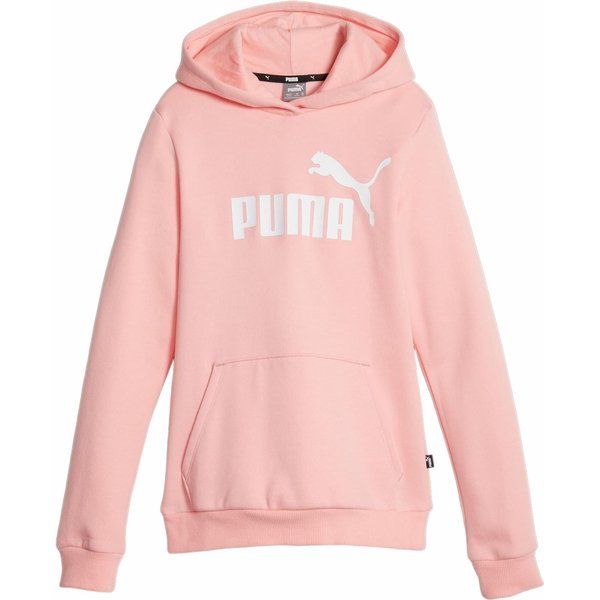 Bluza juniorska Essentials Logo Hoodie Puma