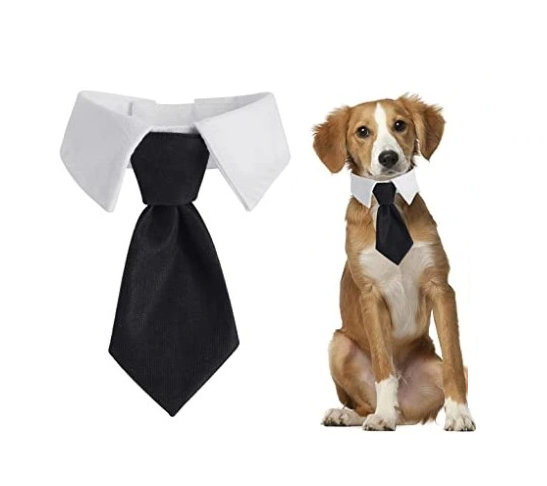 Krawat Dla Psa Kota Uniwersalny Na Rzep Elegancki Strój Imprezowy Rozmiar L