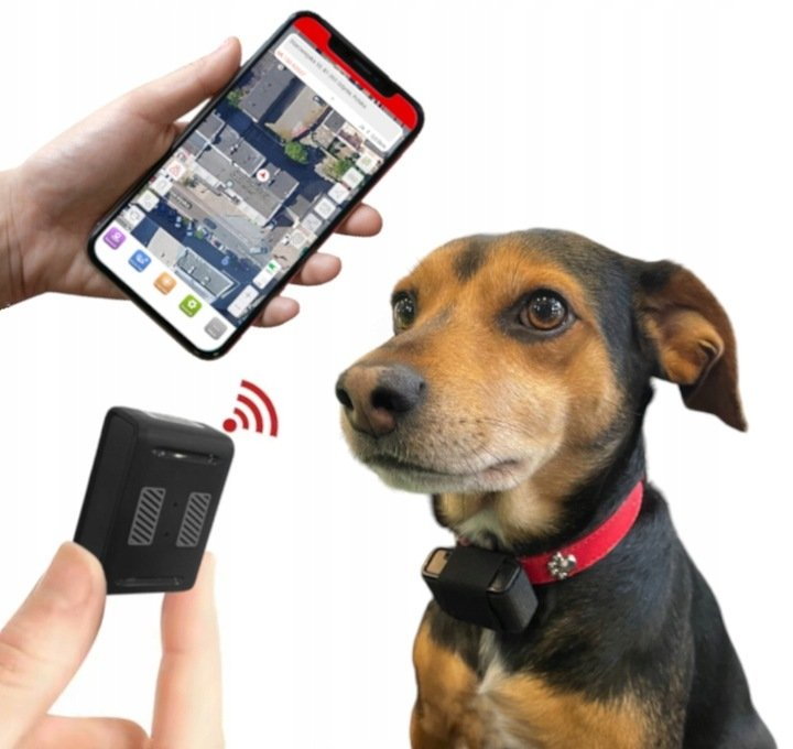 GPS lokalizator draVires dla psa kota zwierzaka polska aplikacja