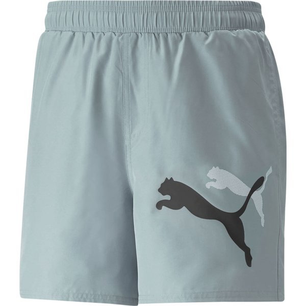 Spodenki męskie ESS+ Logo Power Cat Woven Shorts 5 Puma