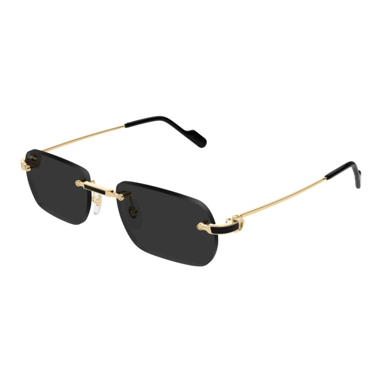 Ct0498S 001 Sunglasses Cartier