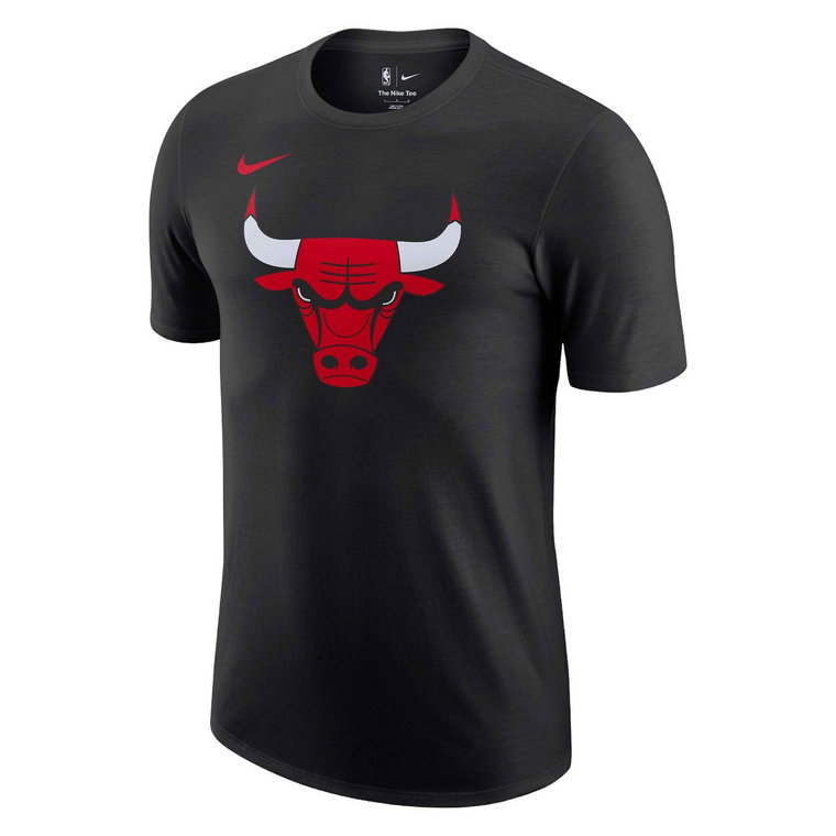 Koszulka do koszykówki męska Nike Chicago Bulls FJ0231