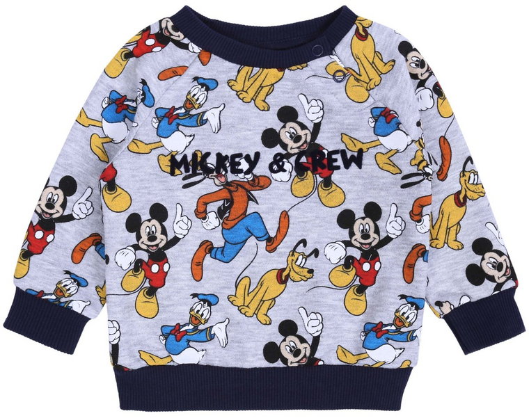 Szara, dziecięca bluza Klub Przyjaciół Myszki Miki DISNEY 9-12 m 80 cm