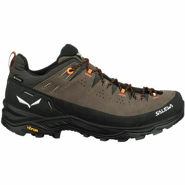 Buty Alp Trainer 2 GTX Salewa