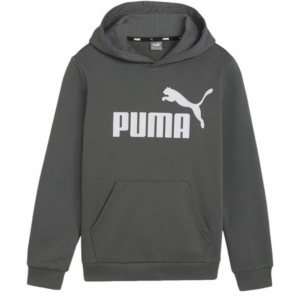 Bluza juniorska Essentials Big Logo Hooded Puma