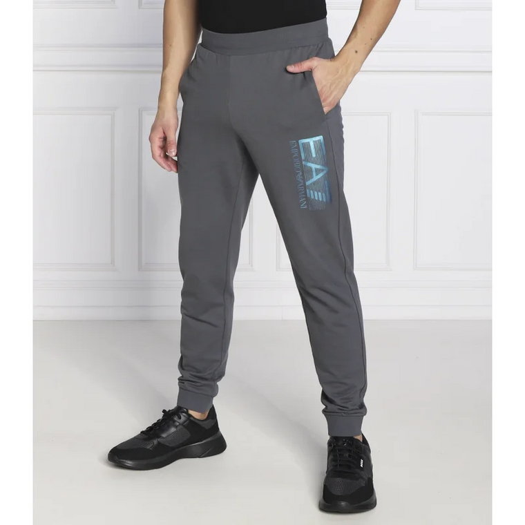 EA7 Spodnie dresowe | Regular Fit