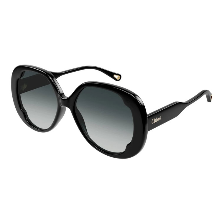 Sunglasses Ch0195Sk Chloé