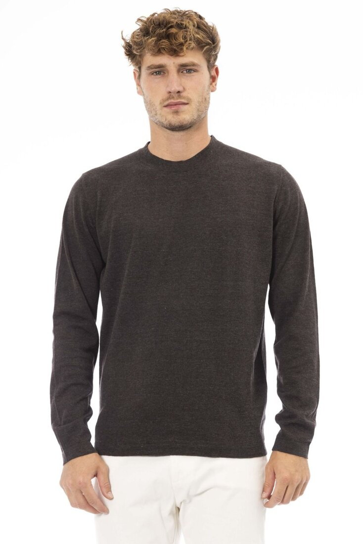 Swetry marki Alpha Studio model AU7170C kolor Brązowy. Odzież męska. Sezon: