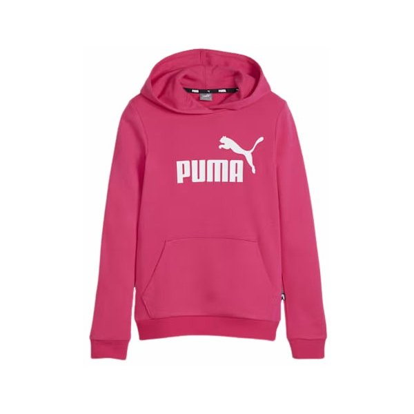 Bluza juniorska Essentials Logo Youth Hoodie Puma