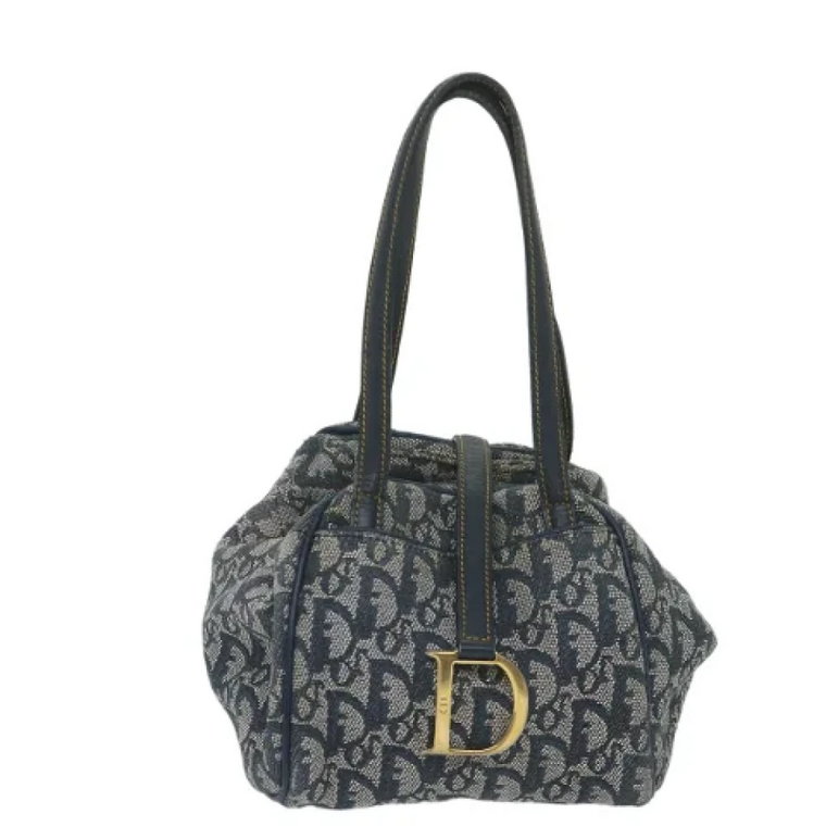 Pre-owned Canvas dior-bags Dior Vintage