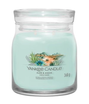 Yankee Candle Aloe & Agave Signature Jar Świeca zapachowa 368 g