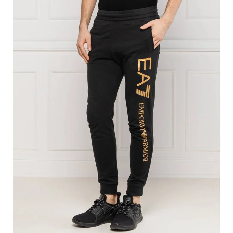 EA7 Spodnie dresowe | Regular Fit