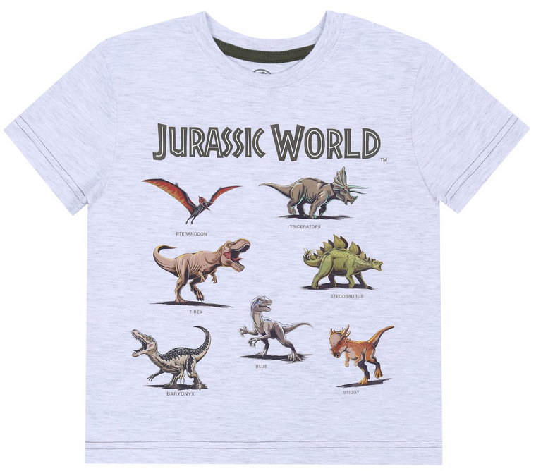 Szara koszulka/t-shirt dinozaury Park Jurajski 2-3 lata 98cm