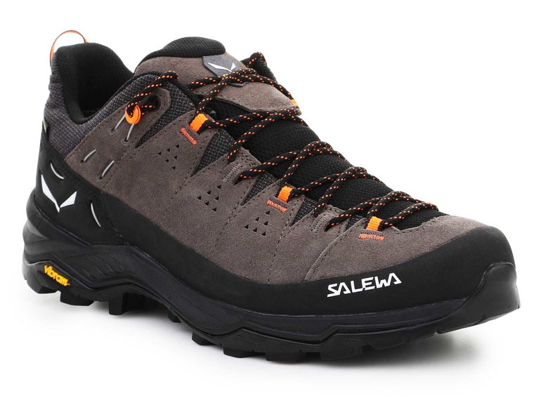 Salewa Alp Trainer 2 Gore-Tex Men's Shoe 61400-7953