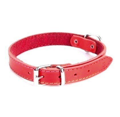 Dingo Obroża ze skóry podszyta filcem dla psa CLASSIC - czerwony 1,2 x 36 cm