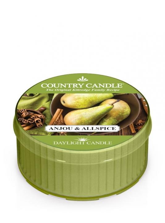 Świeca zapachowa Daylight COUNTRY CANDLE Anjou & Allspice, 35 g