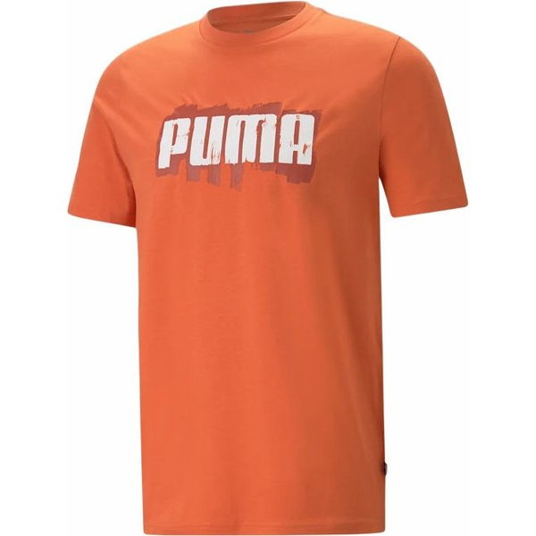 Koszulka męska Graphics Wording Tee Puma