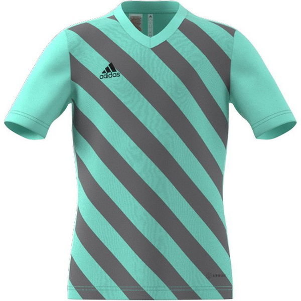 Koszulka juniorska Entrada 22 Graphic Jersey Adidas