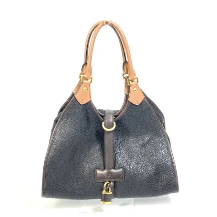 Pre-owned Leather handbags Loewe Pre-owned