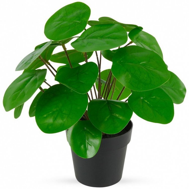 Sztuczna roślina w doniczce dekoracyjna pilea pieniążek 24 cm kod: O-569448 - NATYCHMIASTOWA WYSYŁKA !!