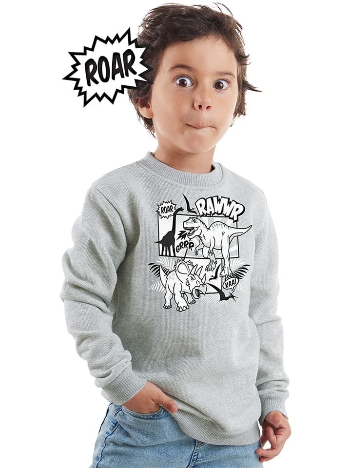 Denokids Bluza w kolorze szarym