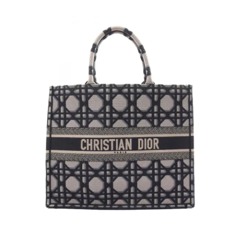 Pre-owned Canvas dior-bags Dior Vintage