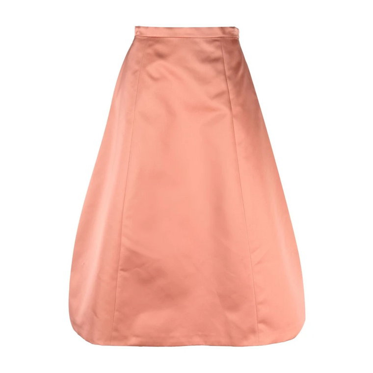 Midi Skirts Rochas